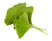 files/image_419.webp