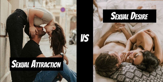 Sexual Attraction vs. Sexual Desire